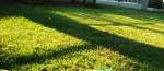 Kikuyu Lawn Per Square Metre Gauteng Only