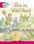 Literacy Edition Storyworlds Stage 5 Fantasy World Fire In Wild Wood   Paperback