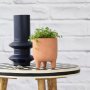 Peace In The Home - In Terracotta Pippin Planter