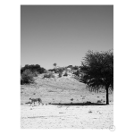 Loner Art Print - A3