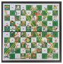 Magnetic Snakes & Ladders