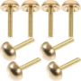 8 Pieces Brass Decorative Mirror Screws Self-tapping Upholstery Fasteners