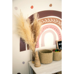Kikki & Frankie Wall Decal Packs Bella-rose Rainbow