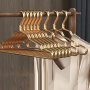 Set Of 5 Aluminum Skirt Hangers Non-slip Seamless Heavy Duty Polished Coat Hangers For Drying Bedroom & Closet Organization