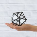 Glass Box - Crystal - Small Cute Box