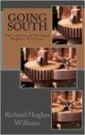 Going South - The Stories Of Richard Hughes Williams Paperback