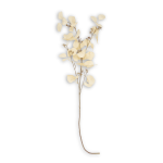 @home Stem Artificial Eucaluptus Natural 108CM