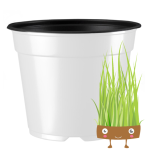Medium Pots - White