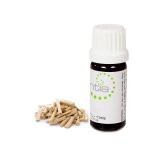 Escentia Sandalwood Amyris Balsamifera Pure Essential Oil West Indian Sandalwood - 20ML
