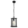 Bright Star Lighting IP44 Sleek Glass And Metal Hanging Light - Ems