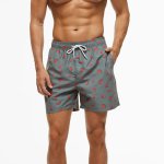 Men's Brazilian Swimshort Striped Grey Melon