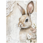 FSC0006 Printed Wall Hanging Prints Karoo Kids