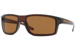 Oakley Gibston Polarized