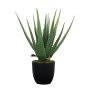 Houzecomfort Aloe Succulent Artificial Plant