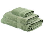 Buy Any Indulgence Bath Sheet + Bath Towel & Get Hand Towel Free Sage