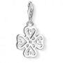 Cloverleaf Charm