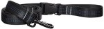 Stunt Puppy Everyday Dog Leash Black