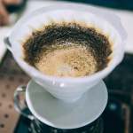 Coffee Tasting - Premium Tasting - Specialty Grade Coffee