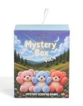 Scented Bear Blind Box 2
