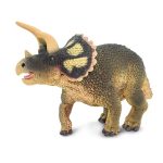 Dinosaurs Triceratops