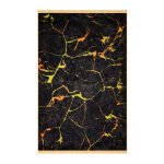 Modern Geometric Gold Line Grey Printed Rug CPR2224