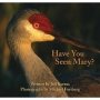 Have You Seen Mary?   Paperback