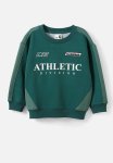 Cotton On Harley Panelled Crew - Pine Tree Green swag Green