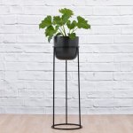 Lacy Leaf Philodendron - 20CM Lacy Leaf In Black Moon Planter With Stand
