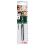 Bosch Bit Drill Multi Purp 10.0MMX120MM CYL-4