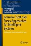 Granular Soft And Fuzzy Approaches For Intelligent Systems - Dedicated To Professor Ronald R. Yager Hardcover 1ST Ed. 2017