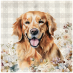 FSC2387 Printed Panel Golden Retriever