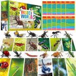 12 Pcs Plastic Insect Figurines With 12 Introduction Flashcards Small Creature Learning Recognition Cards Realistic Bug Models E