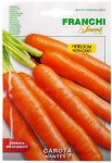 Nantes Carrot
