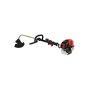 BC260AT Consumer 26CC Edge Trimmer