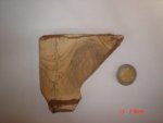 Picture Jasper Slice SSP90