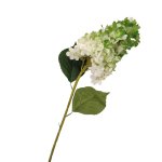 Green White Mix Long Hydrangea 80CM