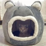 Dog Cat Semi-closed Bed Xlarge DCB2
