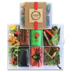 Bug Box Themed Playdough Set