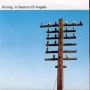 In Search Of Angels   Cd