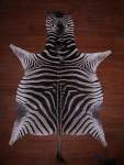 A Grade Zebra Hide 078 M