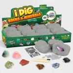 12PC Junior Dig Kit Minerals
