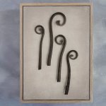 Art Forms In Nature 2 Art Print - A3 Framed Canvas With Natural Wood Frame