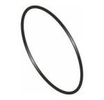 Pool Pump Speck Porpoise O Ring For Body
