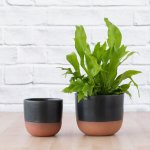 Pluto Planter - Charcoal - 13CM