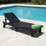 Pool Lounger