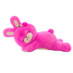 Sleepy Bunny 2KG