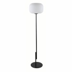Nord Black With Opal Glass Floor Lamp
