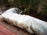 Frost Cover 5 M X 3 M