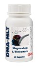 Dna - Magnesium L-threonate 60 Capsules