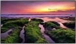 Samsung QB65B 65" Professional Display Slim 4K Uhd Display Without Embedded Wi-fi Or Bluetooth 3840 X 2160 Resolution 350 Nits B